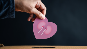a person holding a heart shaped picture of kidneys