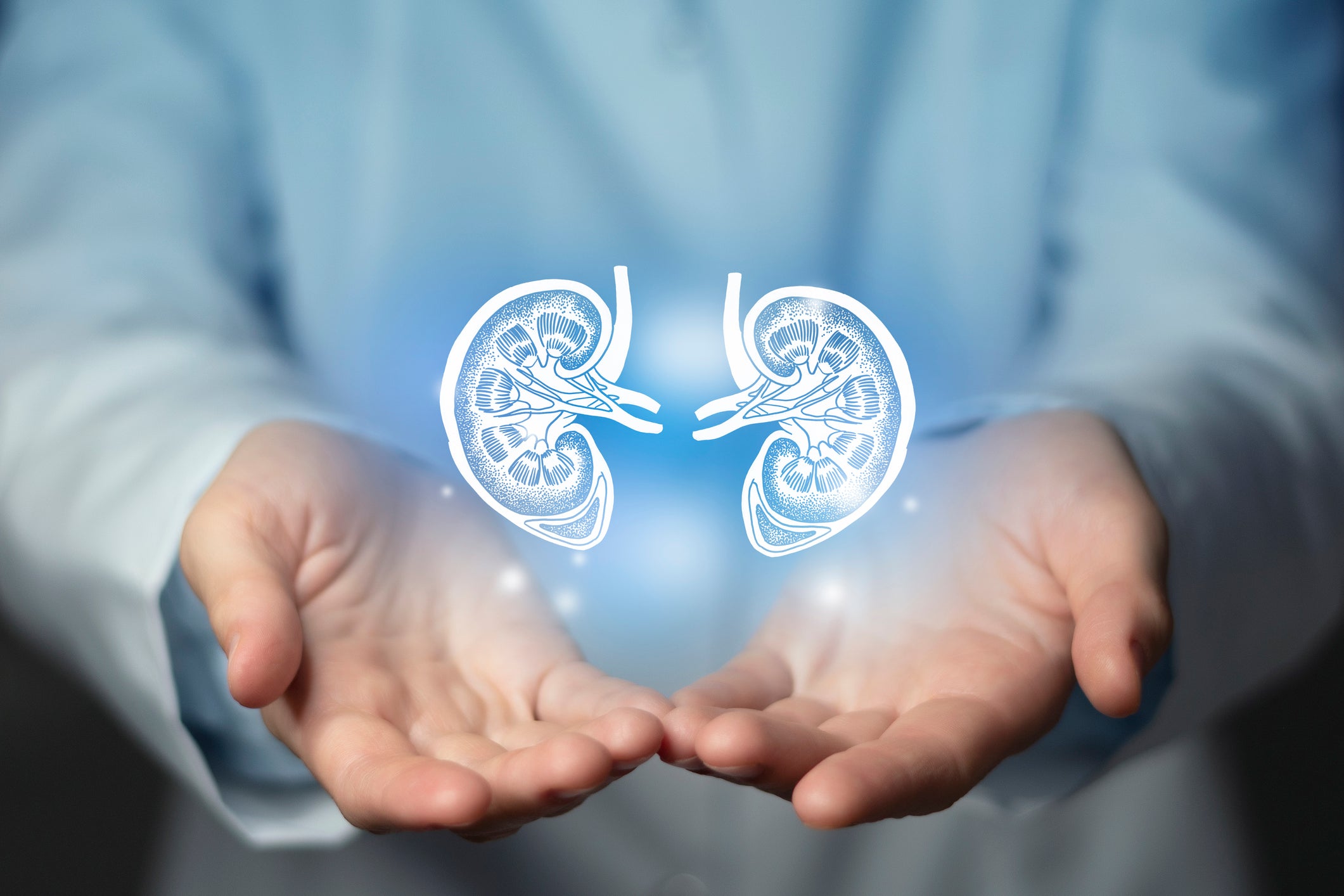 Chronic Kidney Disease (CKD) Is on the Rise; Tips to Avoid It ...