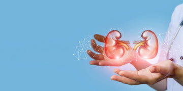 What Causes Kidney Stones? Understanding the Most Common Risk Factors